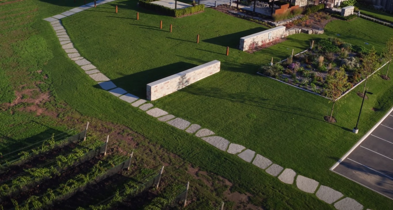 Professional lawn care and maintenance services in Concord, CA